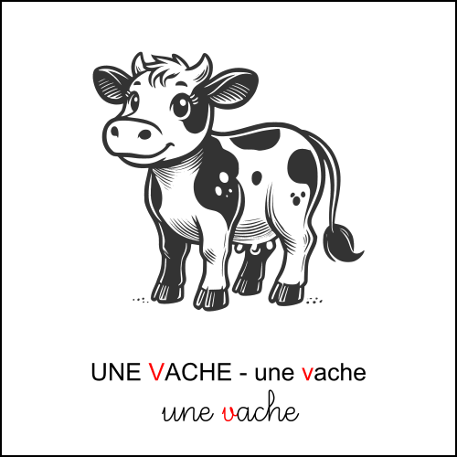 vache